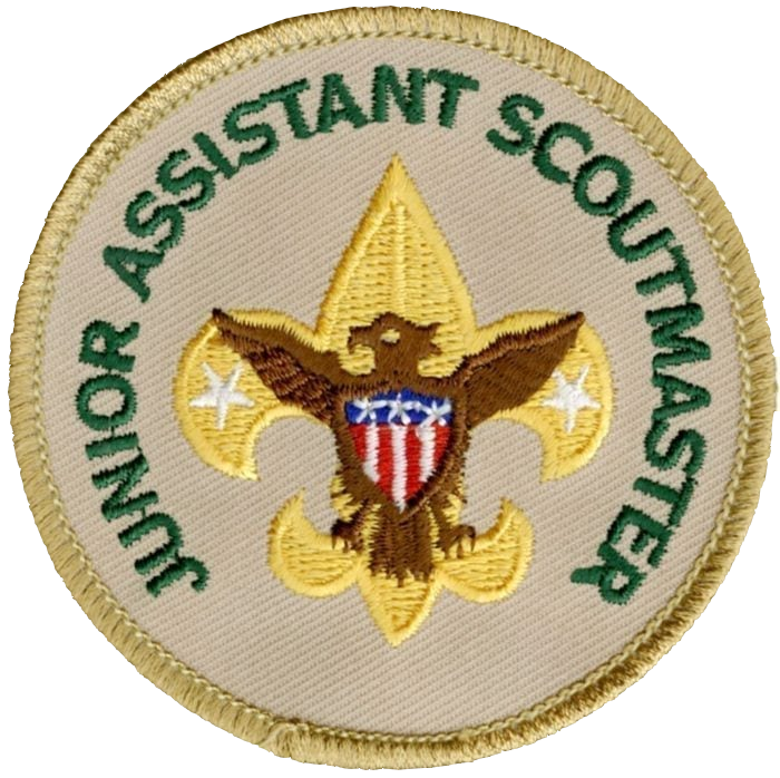 Bsa Assistant Scoutmaster Requirements